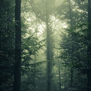 Meet your Posher, Carter